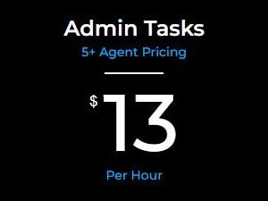 Managers - Executive VA Package/5+ Agents